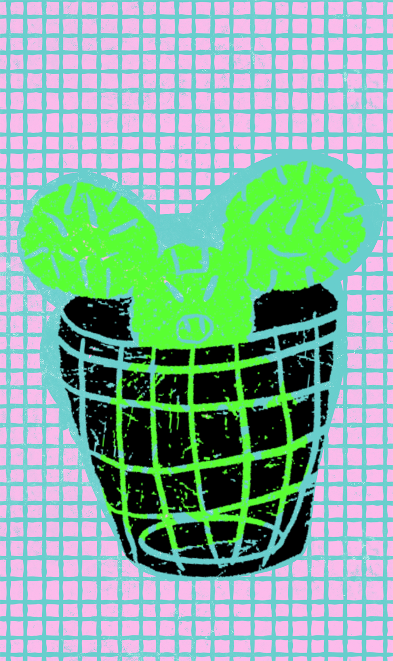 Cactus in a laundry basket illustration